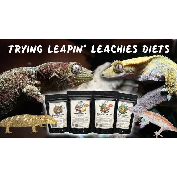 Leapin Leachies Leachianus Linguine 50gr